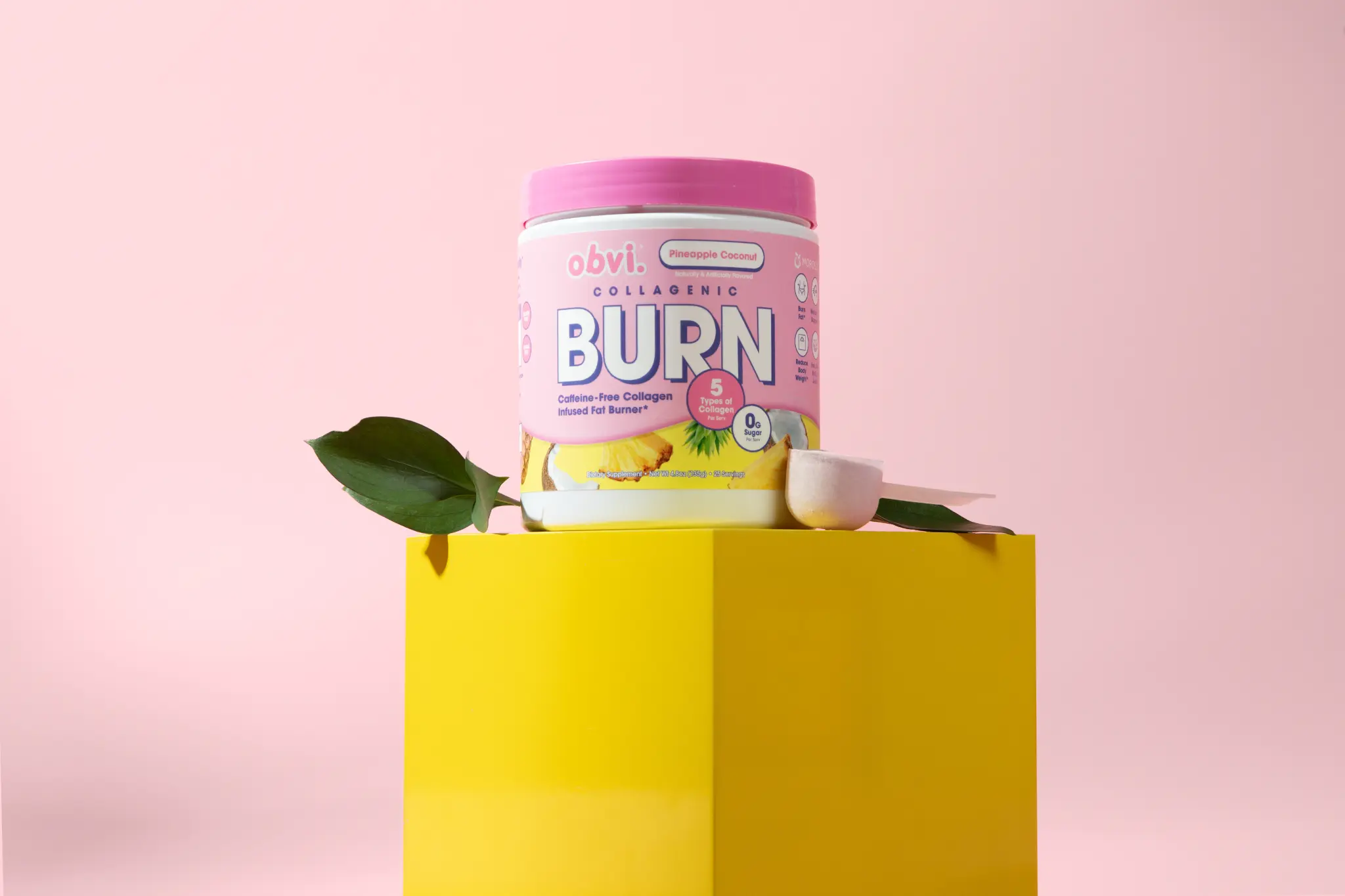 Obvi Collagenic Burn Powder tub on yellow pedestal with green leaf